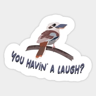 Funny Kookaburra You Having a Laugh Sticker